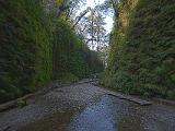 K Fern Canyon 006